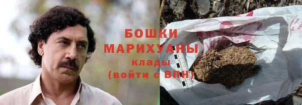 дживик Белокуриха