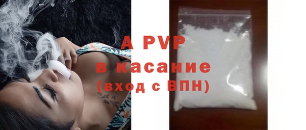 дживик Белокуриха
