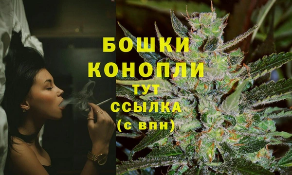 дживик Белокуриха