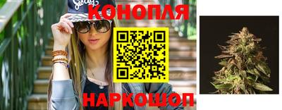 дмт Краснодар