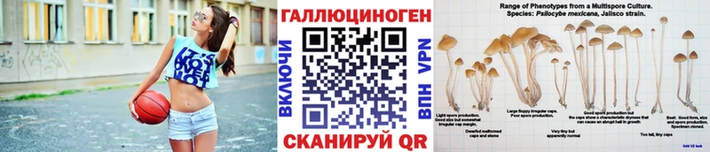 наркошоп  KRAKEN онион  Псилоцибиновые грибы мицелий  Кстово 