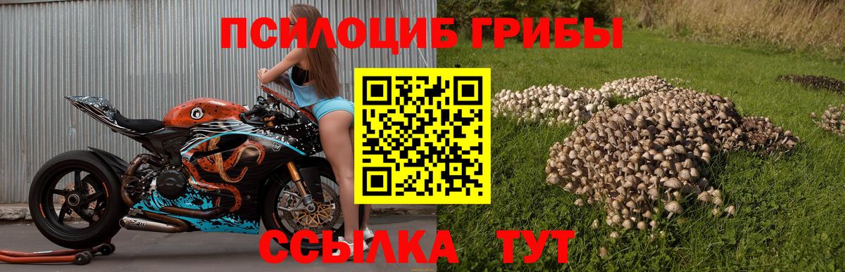 Галлюциногенные грибы GOLDEN TEACHER Кстово