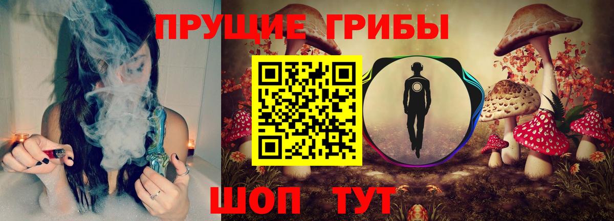 Кстово  Псилоцибиновые грибы Psilocybine cubensis  Вход с VPN 